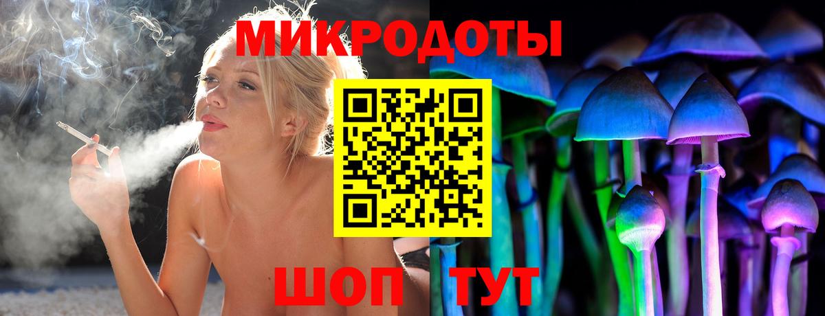 Псилоцибиновые грибы Psilocybe Тосно